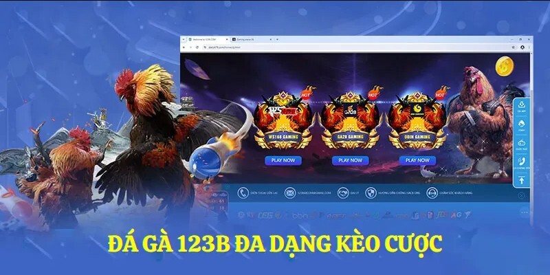 Vô số kèo đặt cược đa dạng khác nhau dành cho thành viên